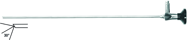 ginecologia bainha histeroscopia